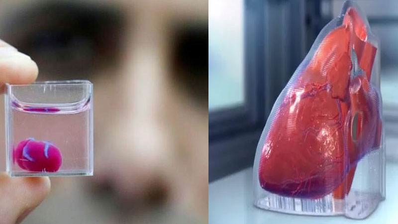 3D bioprinting heart