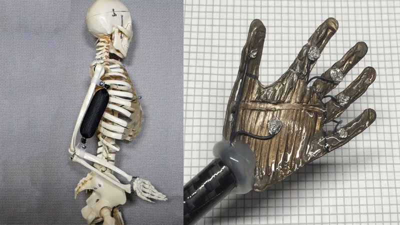artificial muscle