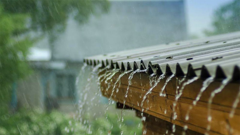 Rain