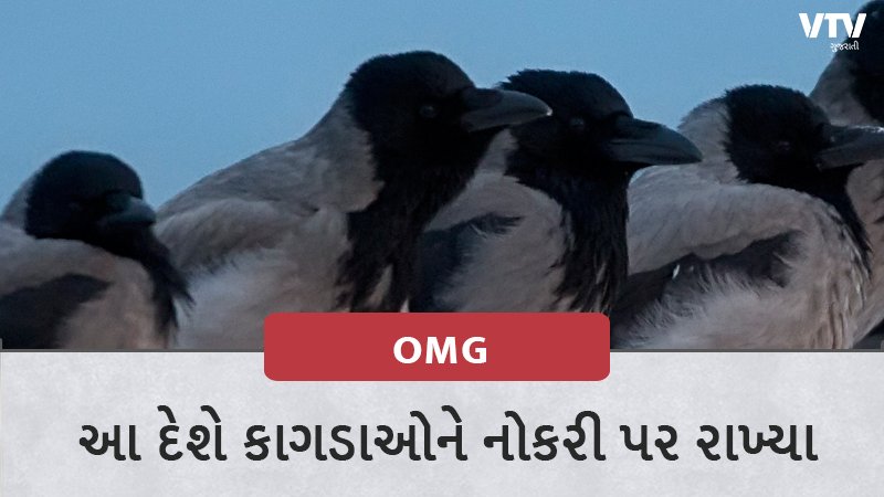 article-logo