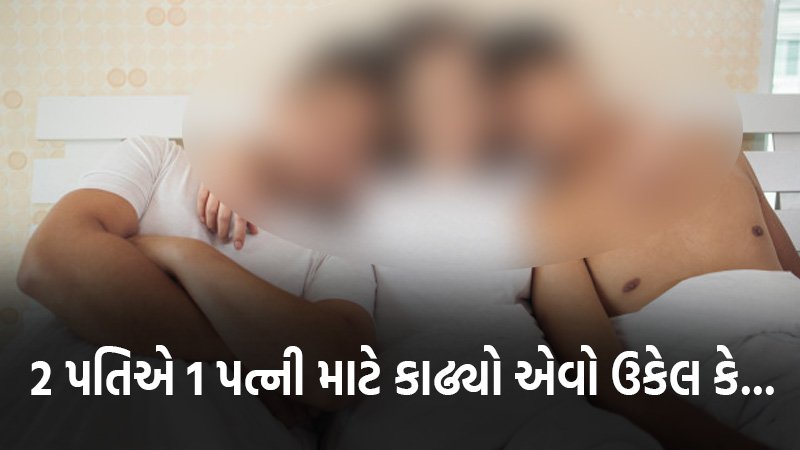 article-logo