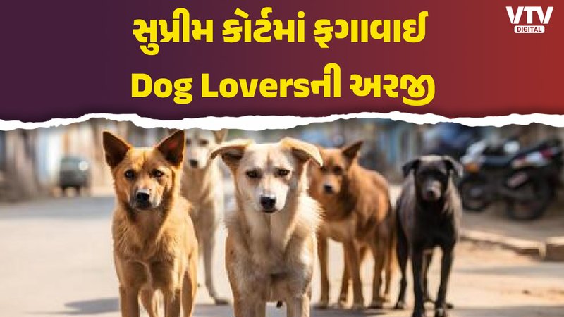article-logo