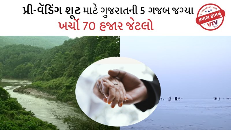 article-logo