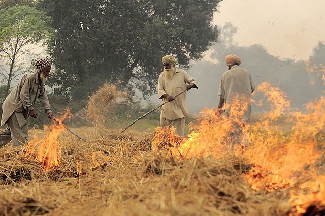 640px-NP_India_burning_48_(6315309342)