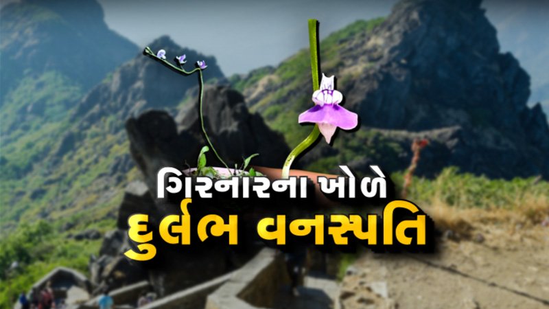 article-logo