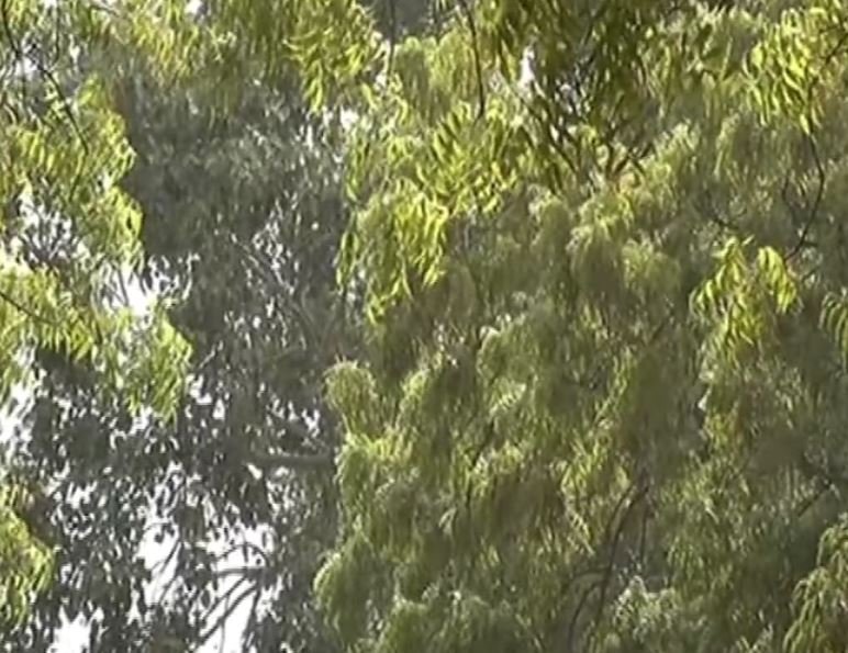AAA