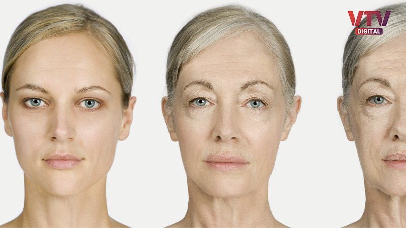 AI-Reverse-Aging