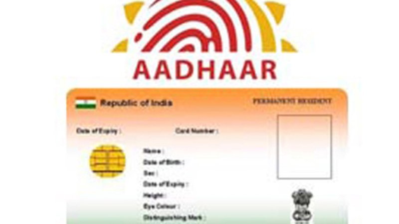 article-logo