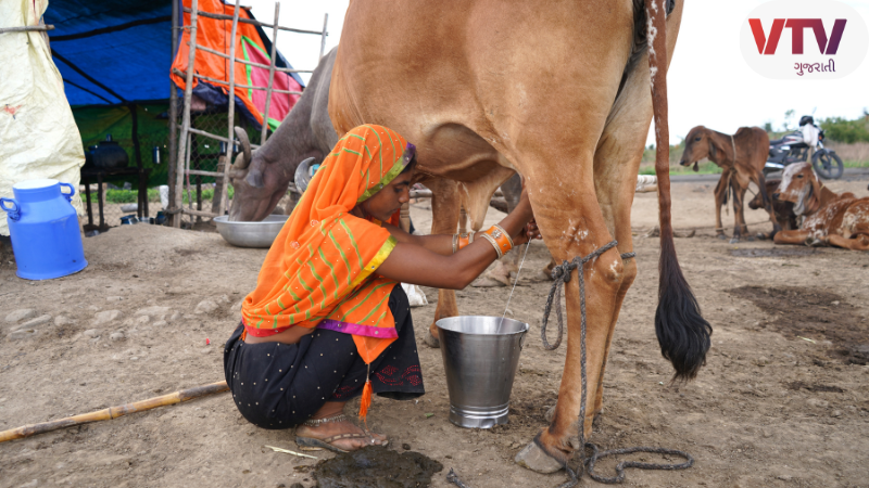 Animal Husbandry