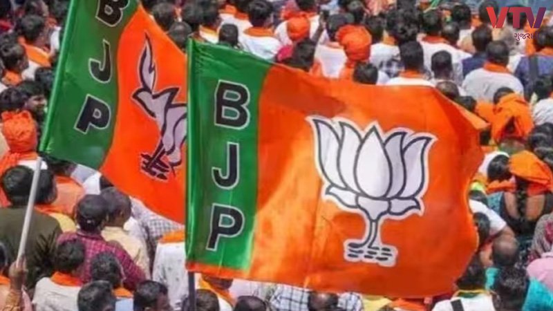 BJP-FINAL-FLAGS