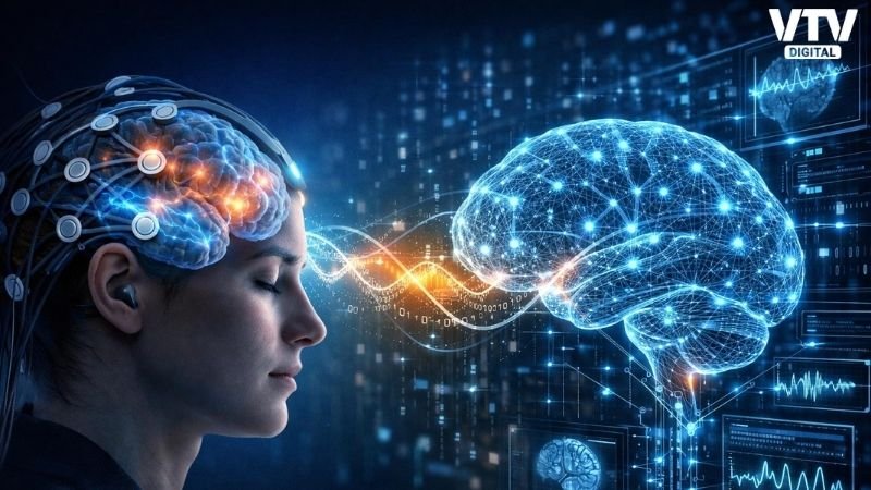 Brain Technology (2)