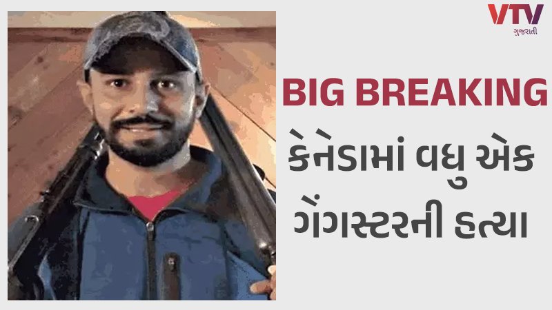 article-logo