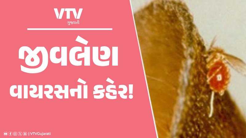 article-logo