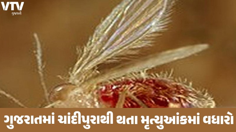 article-logo