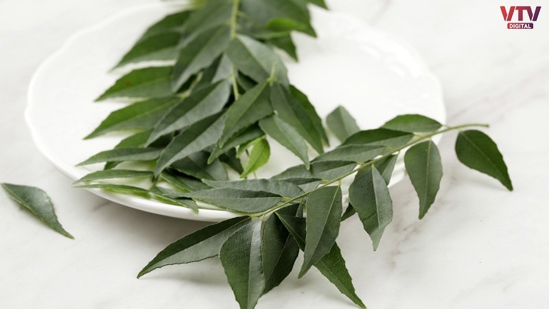 CURRY-LEAVES-2