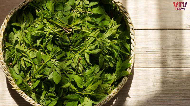 CURRY-LEAVES-4