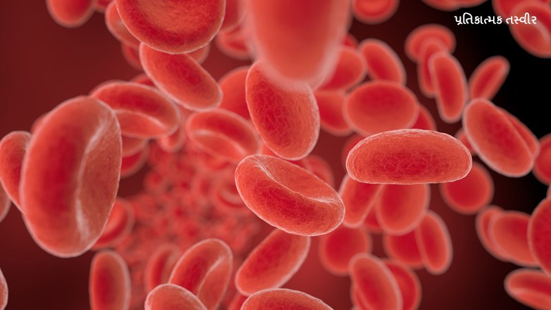 Cholesterol_1.jpg