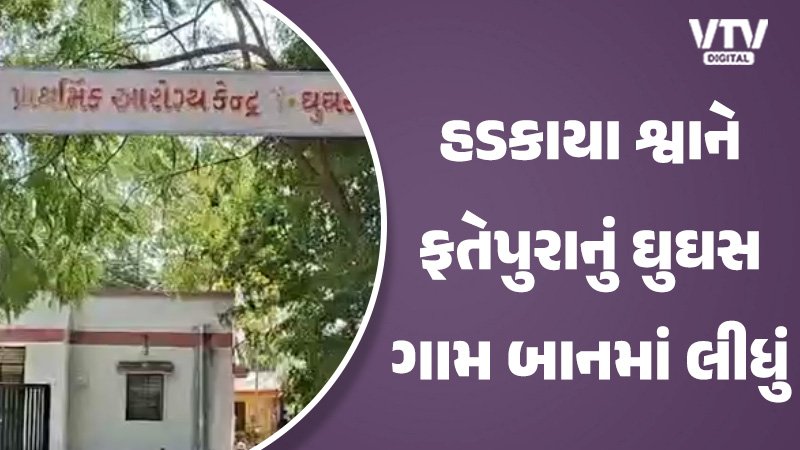 article-logo