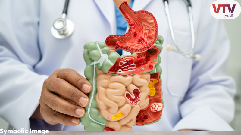 Digestion