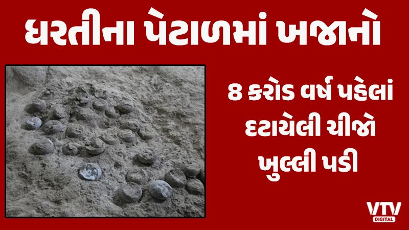 article-logo