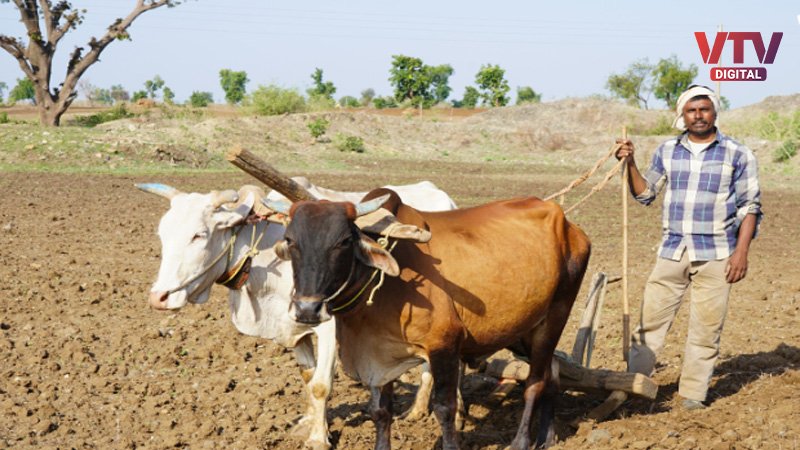 FARMER-2