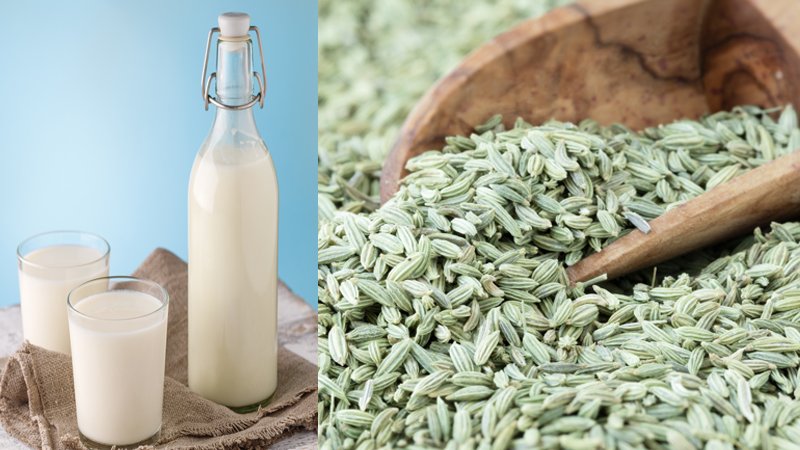 Fennel-Milk.jpg