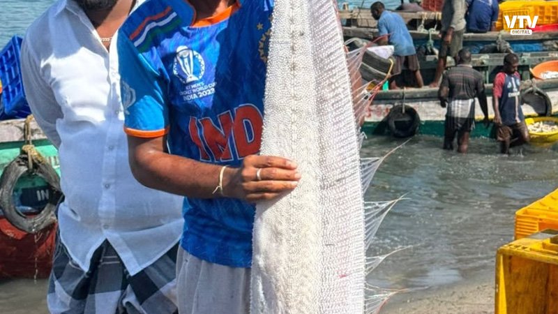 Fish-2