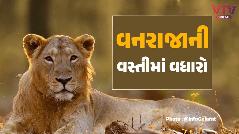 Gujarat Lion