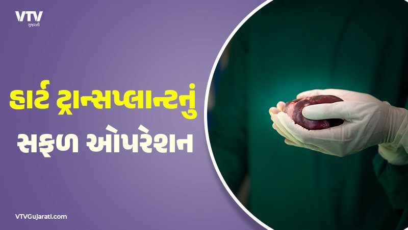 article-logo