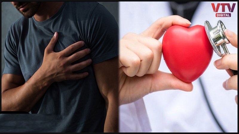 Heart