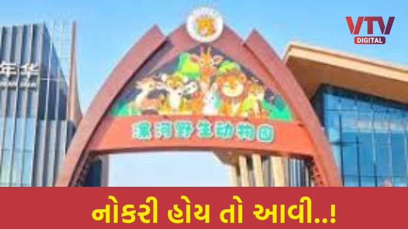 article-logo