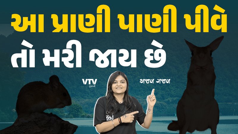 article-logo