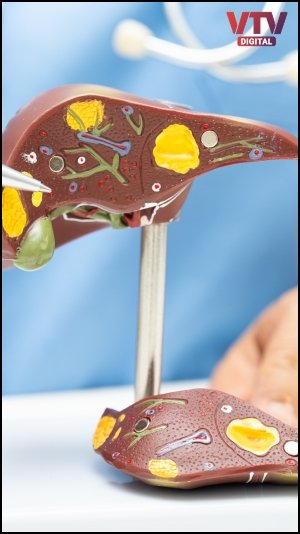 LIver 9