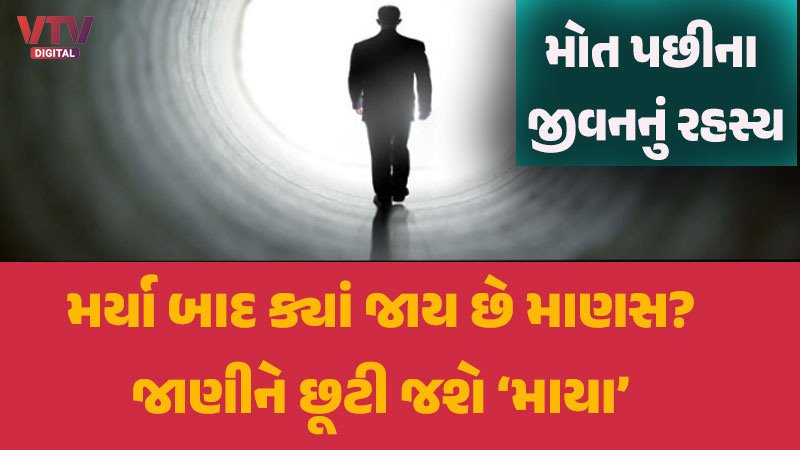 article-logo