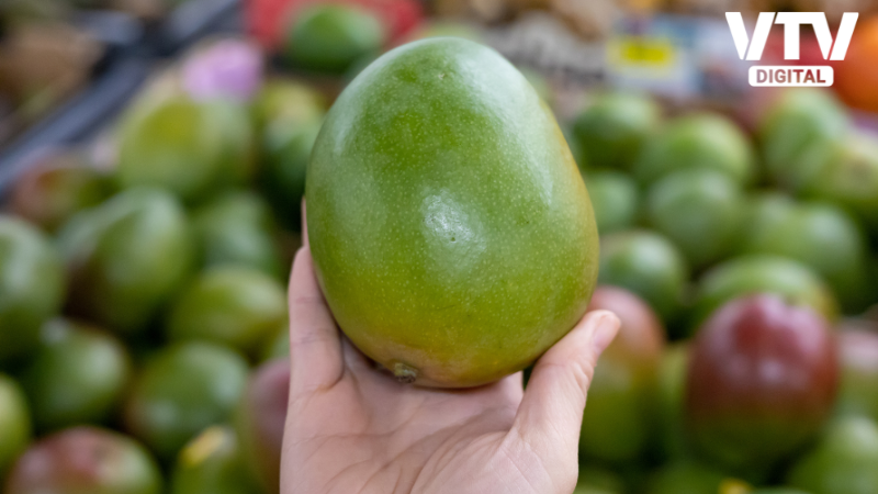 Mango (2)