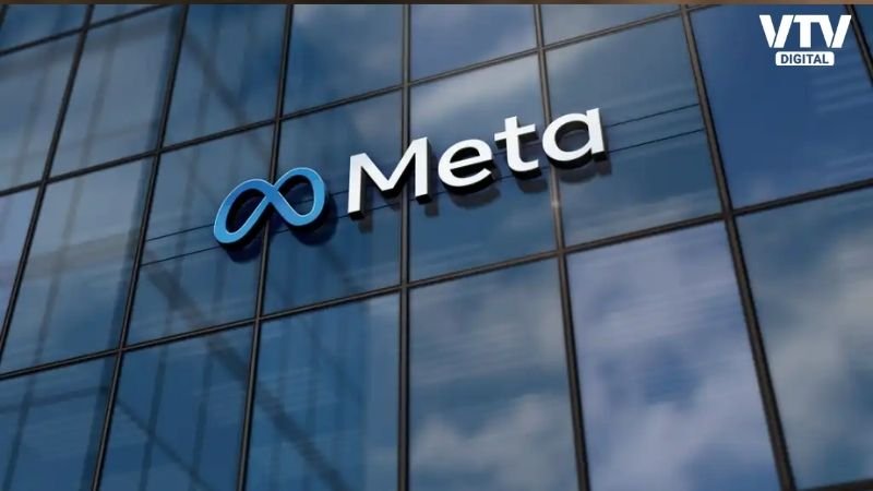 Meta Fine (1)