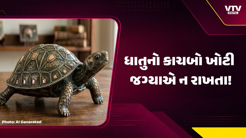 વાસ્તુ મુજબ ધાતુનો કાચબો દક્ષિણ-પશ્ચિમ દિશામાં જ રાખવો
