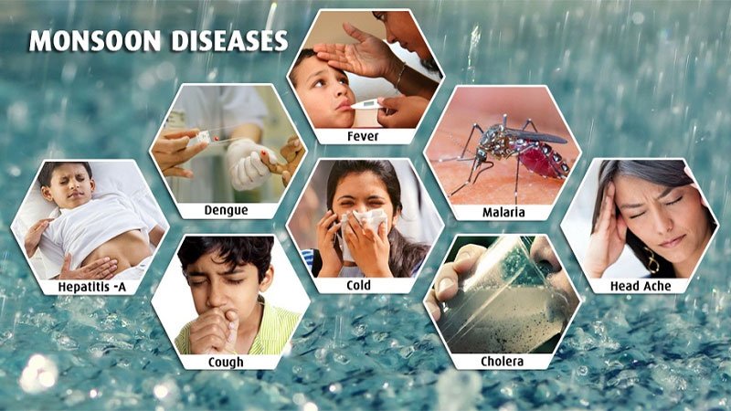 મેલેરિયા, ડેન્ગ્યુ, ટાઇફોઇડ... ચોમાસું બેસતા જ આ 5 બિમારીઓનો વધ્યો ખતરો,  બચવા માટે અપનાવો આ ટિપ્સ / Malaria, Dengue, Typhoid... Risk of these 5  diseases increases as soon as ...