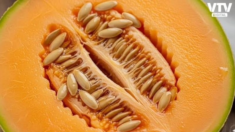 Muskmelon Seeds Benefits (2)