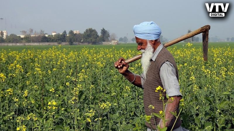 PM-Kisan-Samman-Nidhi-Yojana-4
