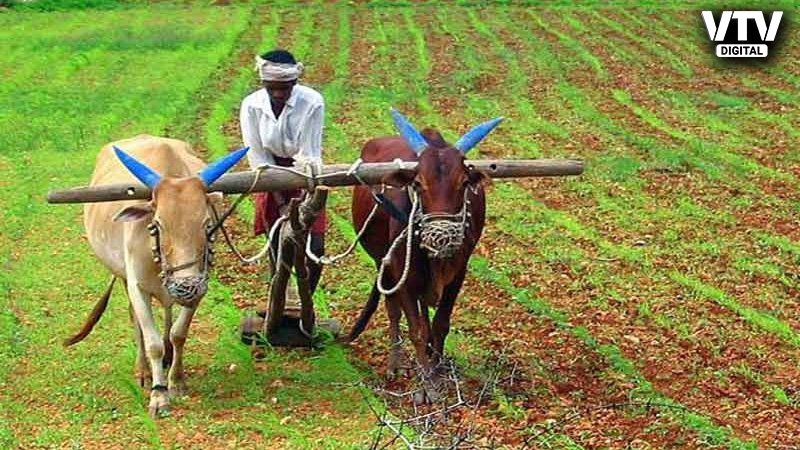 PM-Kisan-Samman-Nidhi-Yojana-5