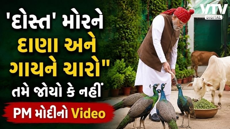 PM મોદીએ મોર અને ગાયને ખવડાવ્યો ખોરાક, વીડિયો વાયરલ