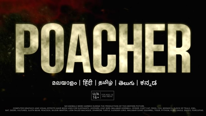 article-logo