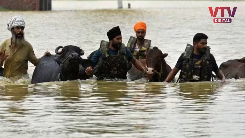 Punjab-fl;oods