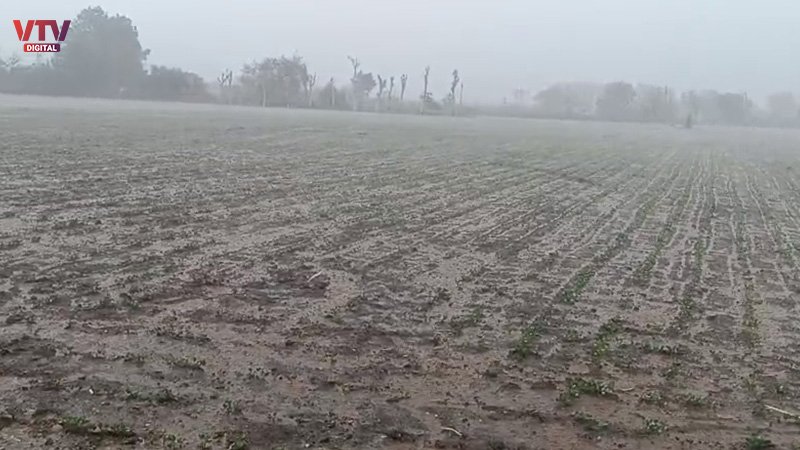 Rain-vtv