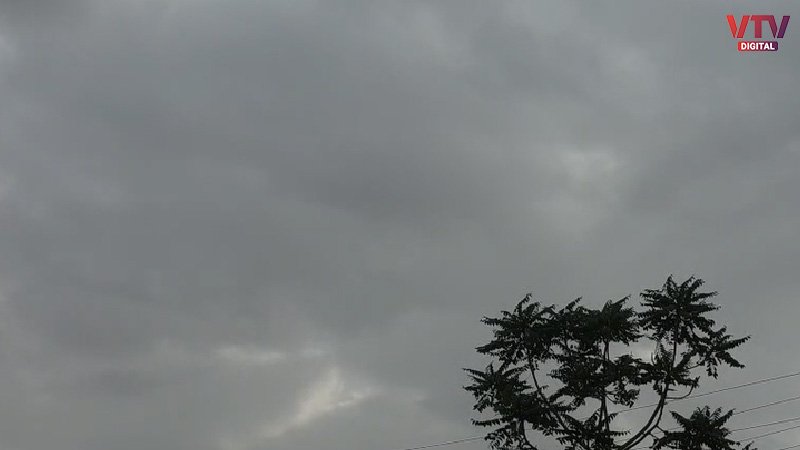 Rain
