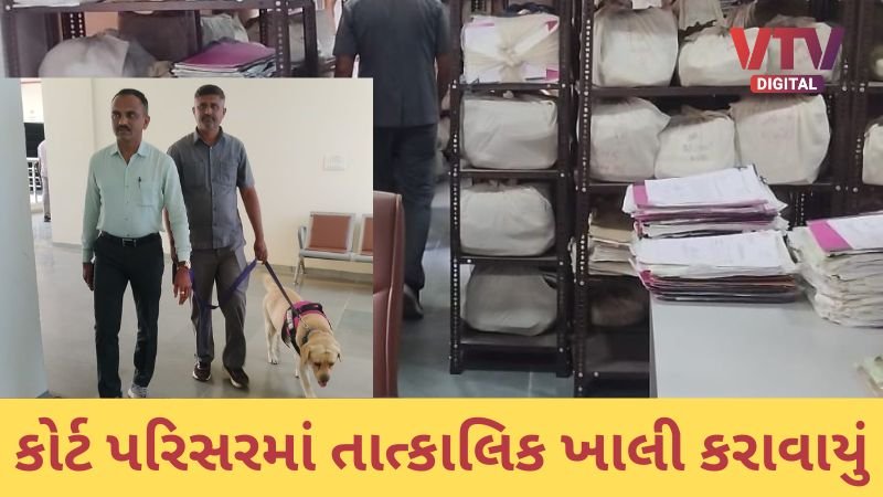 article-logo