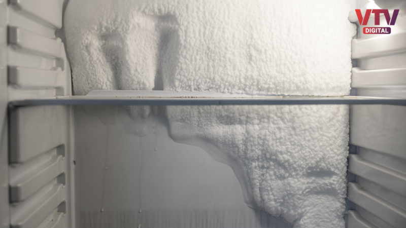 Refrigerator (3)