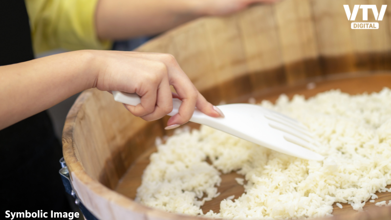 Rice