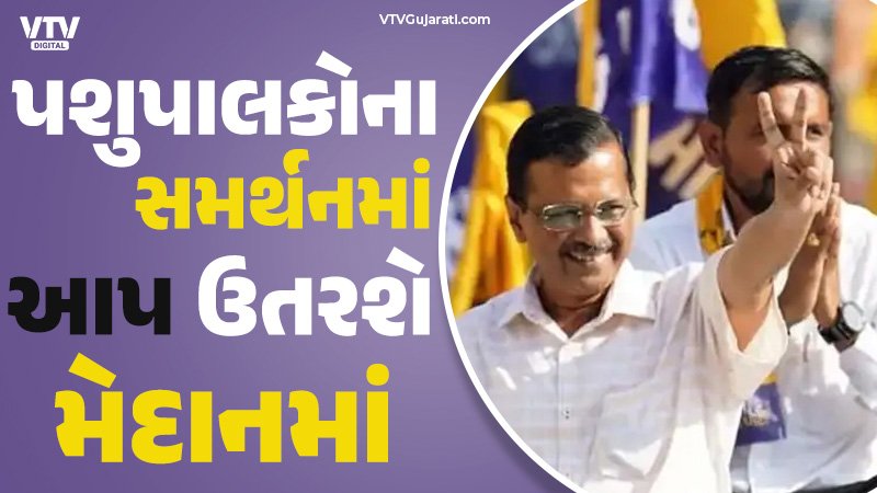 article-logo